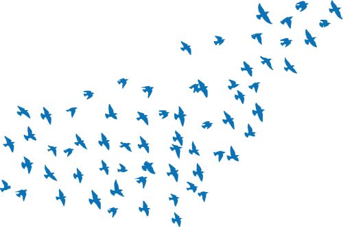 Blaue Vögel Blaue Vögel