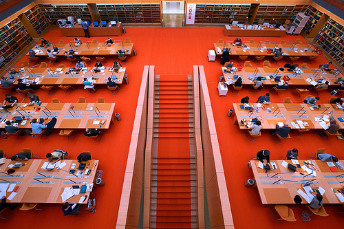 Viele Leser
