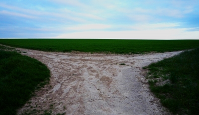 Der Blick voraus